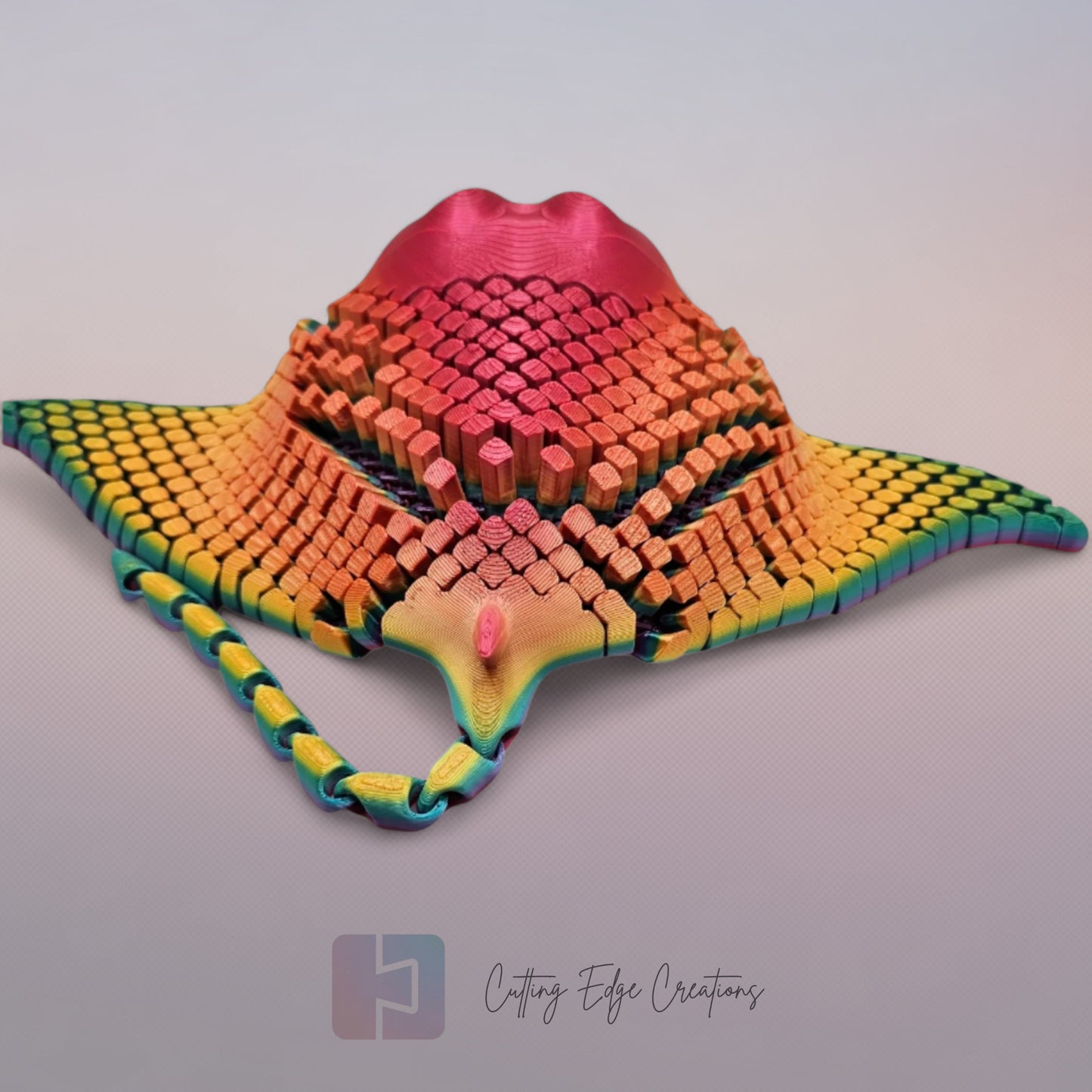 Marvin the Manta Ray