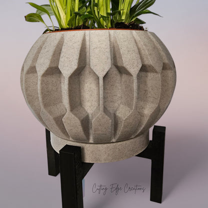 Century Planter