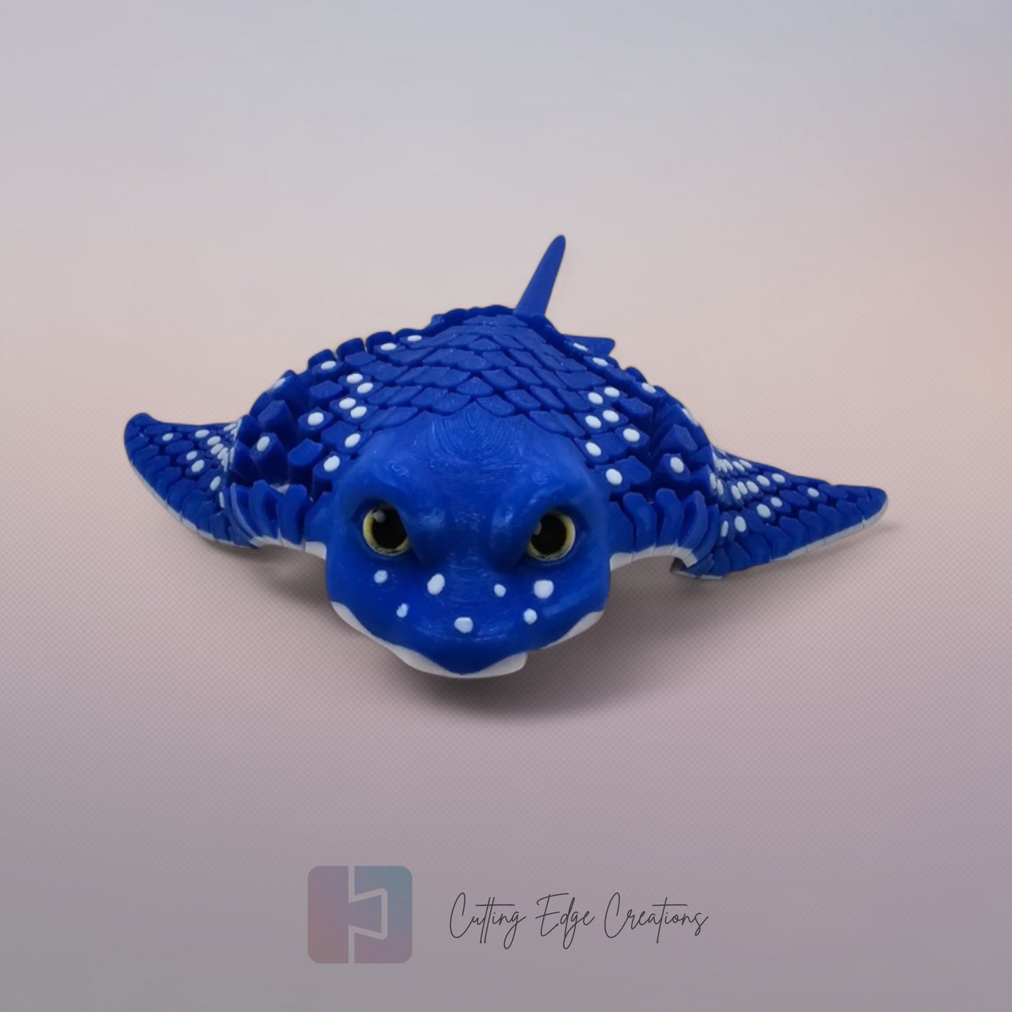 Ray the Ray