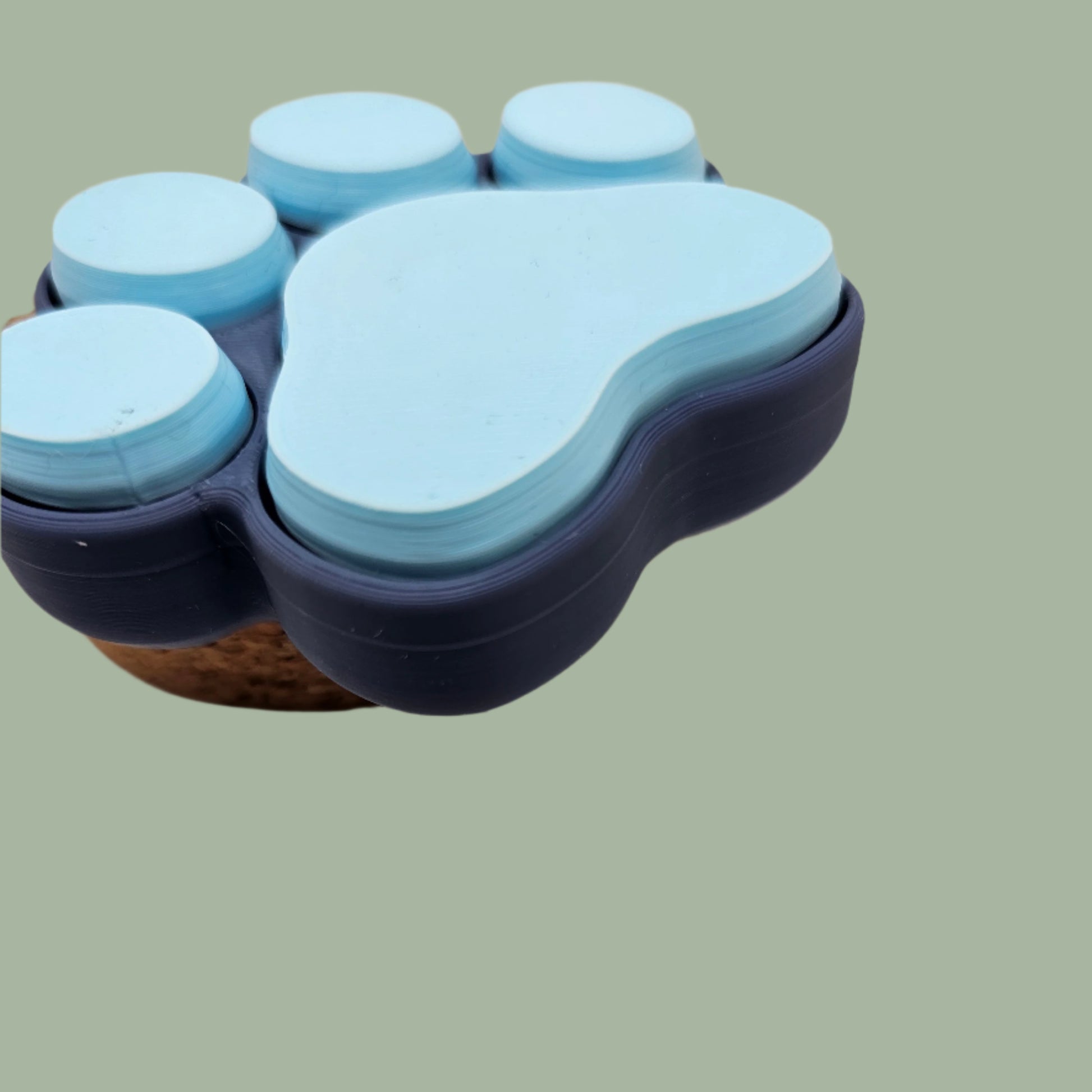 3D printed cat paw with 5 clickable buttons in a random pastel colour