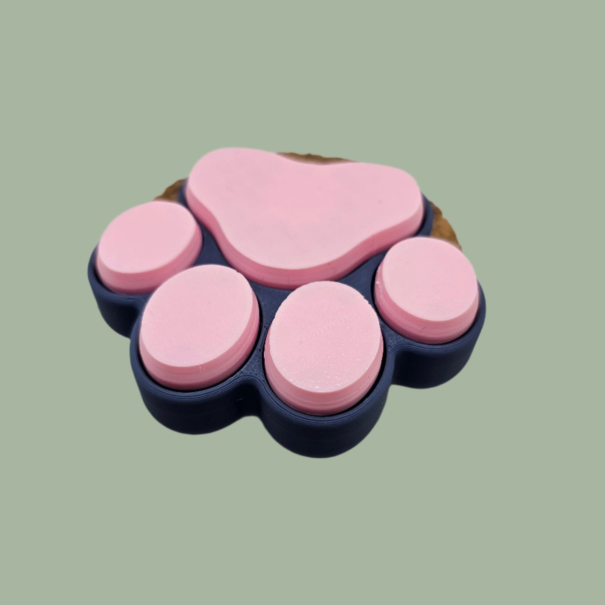 3D printed cat paw with 5 clickable buttons in a random pastel colour