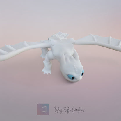 Night Fury or Light Fury - How To Train Your Dragon Model